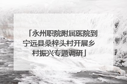 永州职院附属医院到宁远县桑梓头村开展乡村振兴专题调研