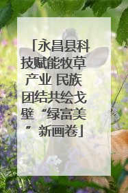 永昌县科技赋能牧草产业 民族团结共绘戈壁“绿富美”新画卷