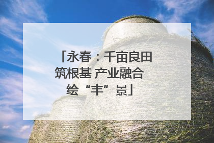 永春：千亩良田筑根基 产业融合绘“丰”景
