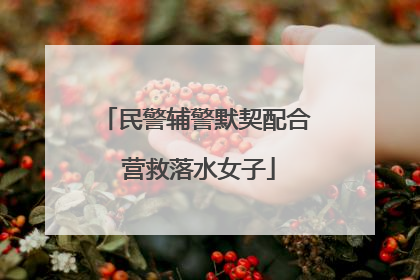 民警辅警默契配合 营救落水女子