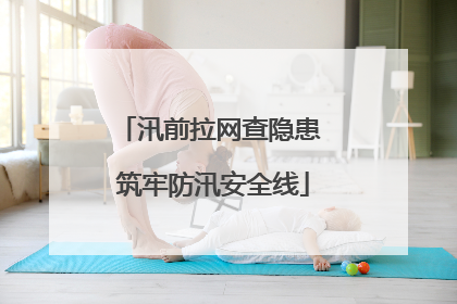 汛前拉网查隐患 筑牢防汛安全线