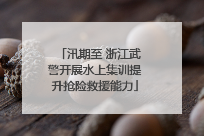 汛期至 浙江武警开展水上集训提升抢险救援能力