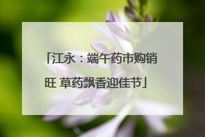 江永：端午药市购销旺 草药飘香迎佳节