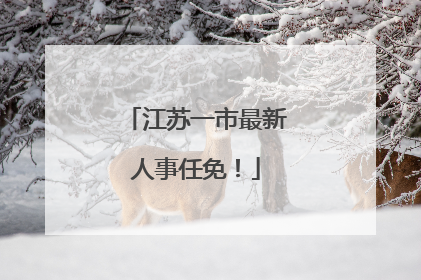 江苏一市最新人事任免！