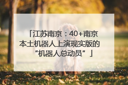 江苏南京：40+南京本土机器人上演现实版的“机器人总动员”