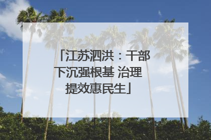 江苏泗洪：干部下沉强根基 治理提效惠民生