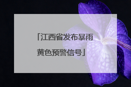 江西省发布暴雨黄色预警信号