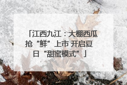 江西九江：大棚西瓜抢“鲜”上市 开启夏日“甜蜜模式”