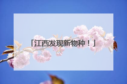 江西发现新物种！