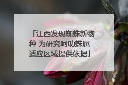 江西发现蜘蛛新物种 为研究呵叻蛛属适应区域提供依据