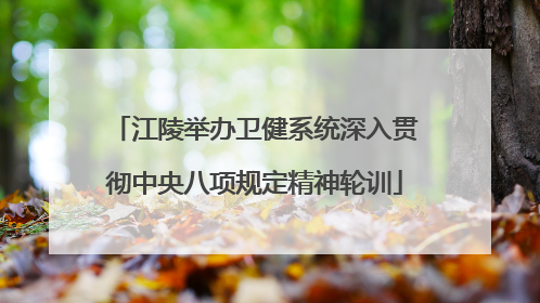 江陵举办卫健系统深入贯彻中央八项规定精神轮训
