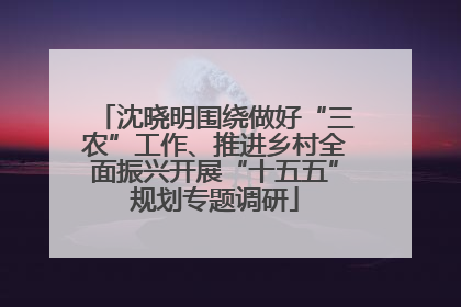 沈晓明围绕做好“三农”工作、推进乡村全面振兴开展“十五五”规划专题调研