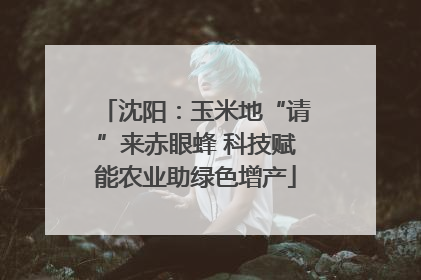 沈阳：玉米地“请”来赤眼蜂 科技赋能农业助绿色增产