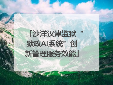 沙洋汉津监狱“狱政AI系统”创新管理服务效能