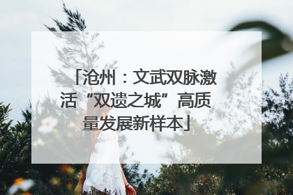 沧州：文武双脉激活“双遗之城”高质量发展新样本