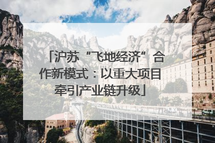 沪苏“飞地经济”合作新模式：以重大项目牵引产业链升级