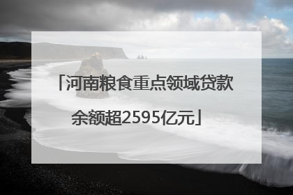 河南粮食重点领域贷款余额超2595亿元