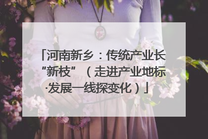 河南新乡：传统产业长“新枝”（走进产业地标·发展一线探变化）