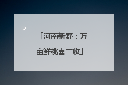 河南新野：万亩鲜桃喜丰收