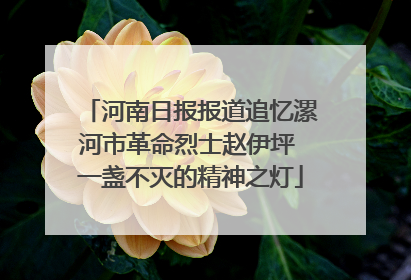 河南日报报道追忆漯河市革命烈士赵伊坪 一盏不灭的精神之灯