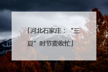 河北石家庄：“三夏”时节麦收忙