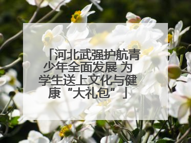 河北武强护航青少年全面发展 为学生送上文化与健康“大礼包”