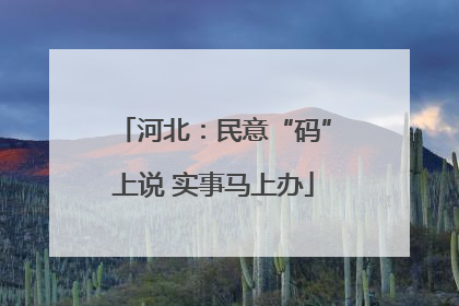 河北：民意“码”上说 实事马上办