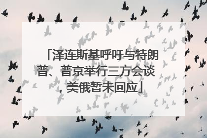 泽连斯基呼吁与特朗普、普京举行三方会谈，美俄暂未回应