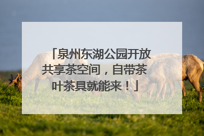 泉州东湖公园开放共享茶空间，自带茶叶茶具就能来！