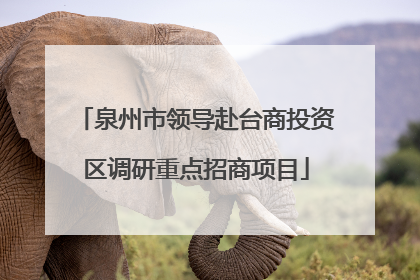 泉州市领导赴台商投资区调研重点招商项目