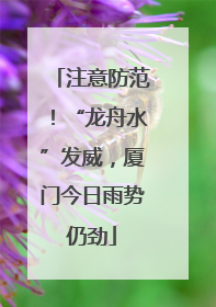 注意防范！“龙舟水”发威，厦门今日雨势仍劲