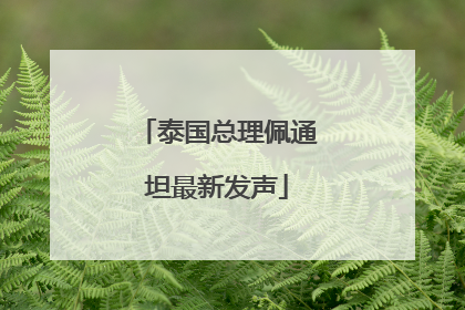 泰国总理佩通坦最新发声