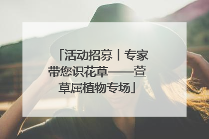 活动招募丨专家带您识花草——萱草属植物专场