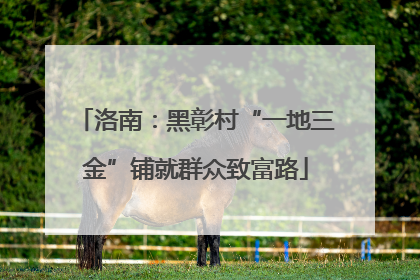 洛南：黑彰村“一地三金”铺就群众致富路