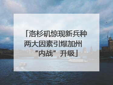 洛杉矶惊现新兵种 两大因素引爆加州“内战”升级