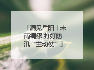 洞见岳阳丨未雨绸缪 打好防汛“主动仗”