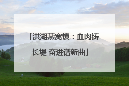 洪湖燕窝镇：血肉铸长堤 奋进谱新曲