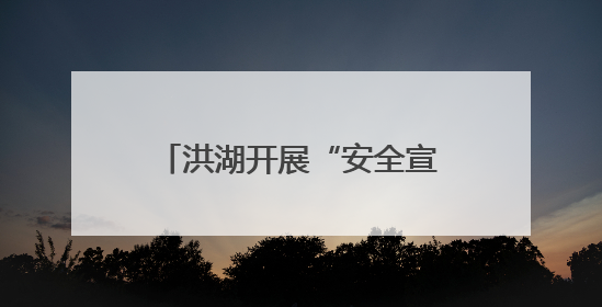 洪湖开展“安全宣传咨询日”活动
