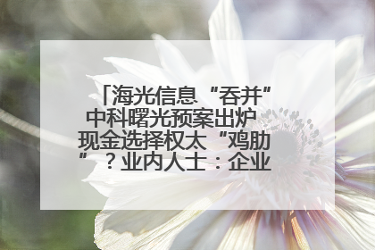 海光信息“吞并”中科曙光预案出炉 现金选择权太“鸡肋”？业内人士：企业不想大量现金流出
