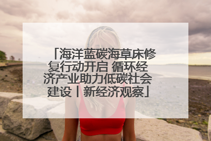 海洋蓝碳海草床修复行动开启 循环经济产业助力低碳社会建设丨新经济观察