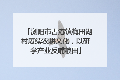 浏阳市古港镇梅田湖村赓续农耕文化，以研学产业反哺粮田