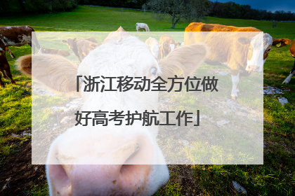 浙江移动全方位做好高考护航工作