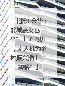 浙江金华：婺城蔬菜也“坐”上了飞机，无人机为乡村振兴插上“翅膀”
