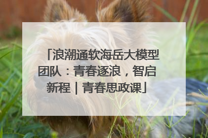 浪潮通软海岳大模型团队：青春逐浪，智启新程｜青春思政课