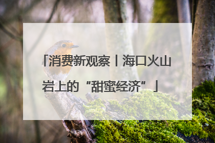 消费新观察丨海口火山岩上的“甜蜜经济”