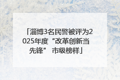 淄博3名民警被评为2025年度“改革创新当先锋” 市级榜样