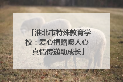 淮北市特殊教育学校：爱心捐赠暖人心 真情传递助成长