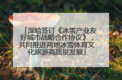 深哈签订《冰雪产业友好城市战略合作协议》，共同推进两地冰雪体育文化旅游高质量发展