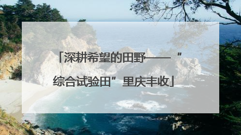 深耕希望的田野——“综合试验田”里庆丰收