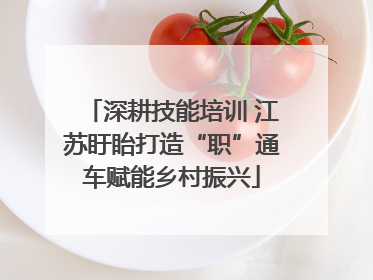 深耕技能培训 江苏盱眙打造“职”通车赋能乡村振兴